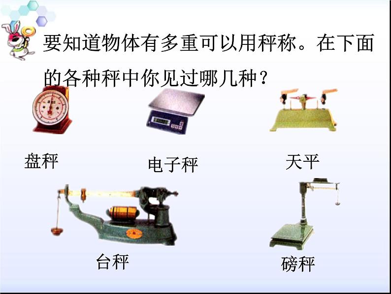 二年级下册数学课件-3.19认识克与千克 ∣浙教版 (共18张PPT)第4页