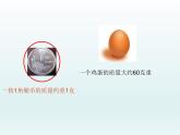 二年级下册数学课件-3.19 认识克与千克｜浙教版 (共24张PPT)