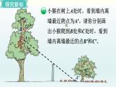 北师六年级上册第三单元 第2课时 观察的范围课件PPT