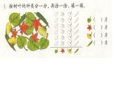 人教版数学一年级下册-03分类与整理-课件06