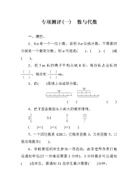 人教版小学数学五下  专项测评1 数与代数（含答案）