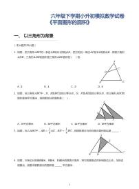 2022年六年级下学期小升初模拟数学试卷《平面图形的面积》（带答案）