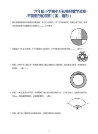 2022年六年级下学期小升初模拟数学试卷---平面图形的面积（圆，扇形）(带答案)