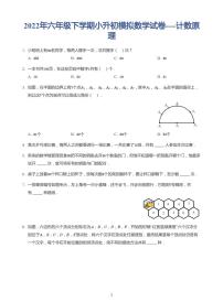 2022年六年级下学期小升初模拟数学试卷---抽屉原理 带答案(1)