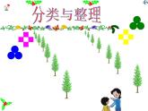 分类与整理一年级课件PPT