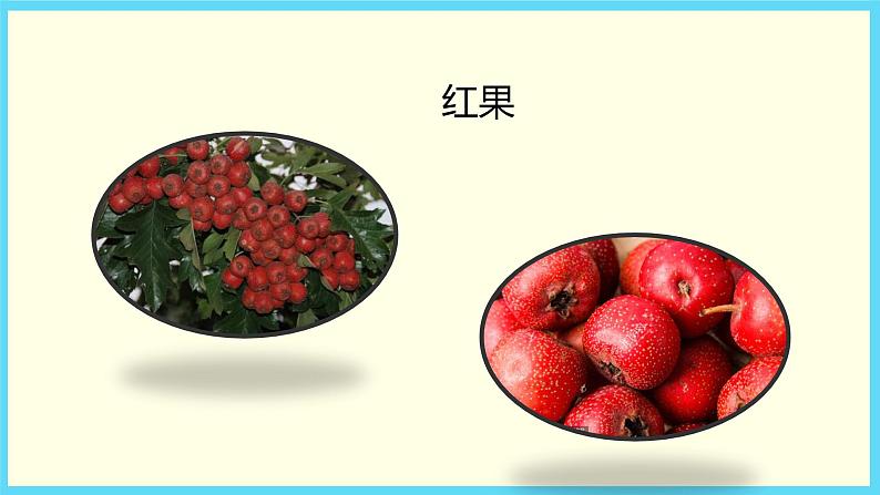 北师大版数学一下3.4 谁的红果多ppt课件（送教案+练习）03