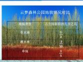 人教版数学五年级下册-07分数的加法和减法-03分数加减混合运算-课件02