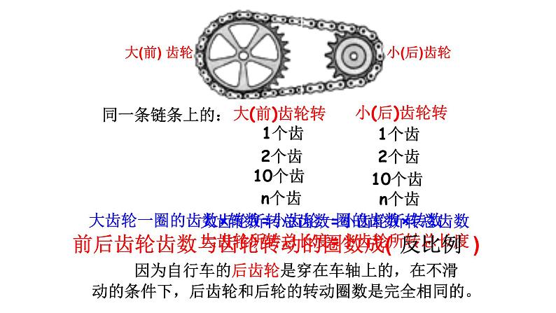 人教版数学六年级下册-05自行车里的数学-课件01第4页