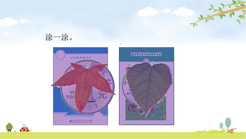 北师大版数学三年级下册-06一 面积-01什么是面积-课件03第4页