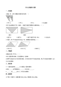 小学数学北师大版三年级下册什么是面积优秀一课一练