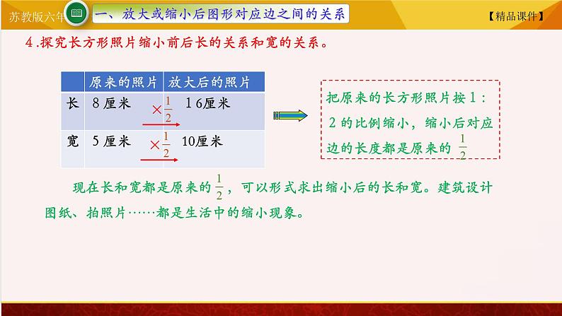 【精品课件】苏教版六年级下册数学 4.1 图形的放大与缩小04