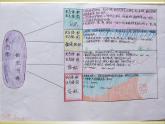 人教版数学五年级下册-03长方形和正方形-04整理和复习-课件02