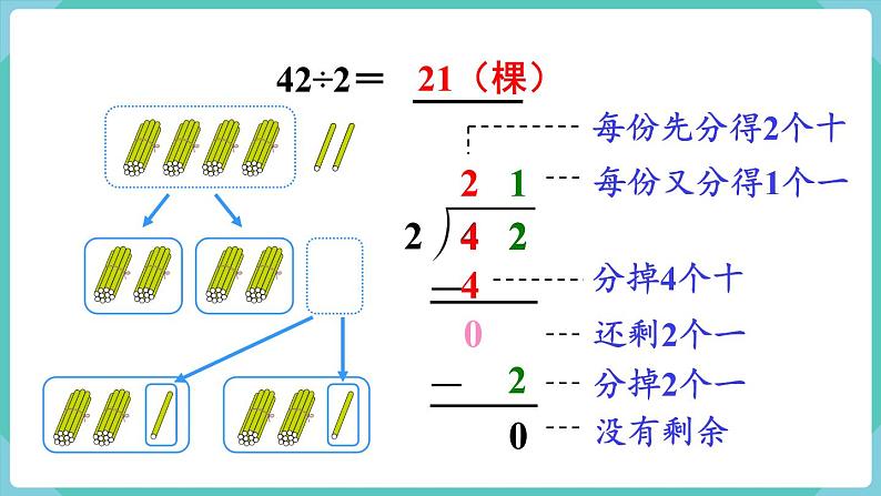 人教版数学三年级下册第二单元：第3课时  两位数除以一位数（商是两位数）课件PPT05