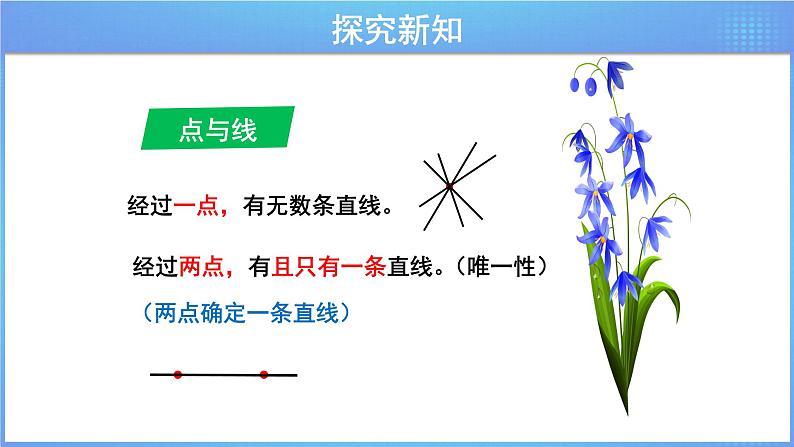 《6.2.1图形的认识》同步课件第4页