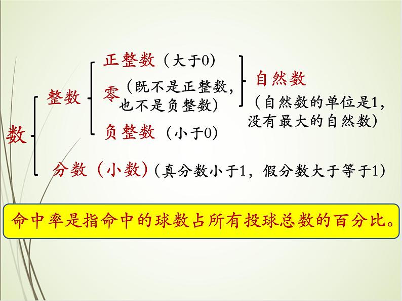 人教版数学六下总复习1.1  数的认识（1）ppt课件+教案+同步练习04