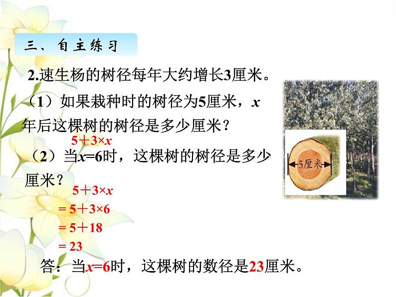 二.2求含有字母的式子的值课件 青岛版(六三制)小学数学四下06