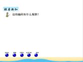 二.6編碼 青島版小學(xué)數(shù)學(xué)三下課件(五四制)
