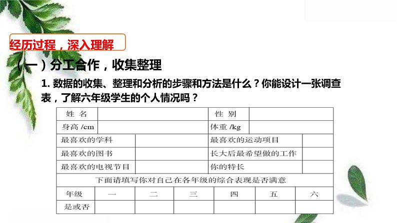 人教版数学六年级下册《统计与概率》课件04