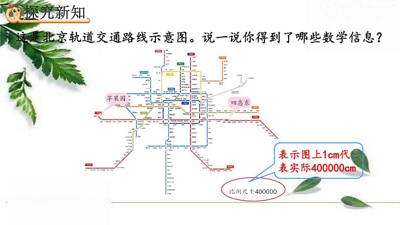 人教版数学六年级下册  比例尺的应用 精编课件第4页