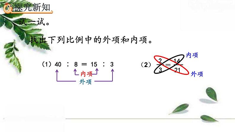 人教版数学六年级下册  比例的基本性质 课件第6页