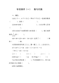 人教版数学四下  专项测评1  数与代数（含答案）