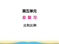 小学西师大版数与代数评课课件ppt