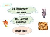 三年级下册数学课件-第三单元第五课时 探索规律（一）   西师大版（2014秋）(共24张PPT)
