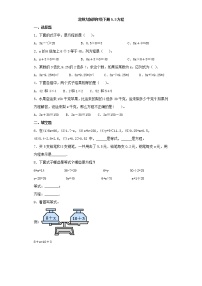 小学数学方程课时训练