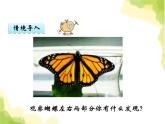 四.2初步認(rèn)識軸對稱圖形課件 西師版小學(xué)數(shù)學(xué)三下