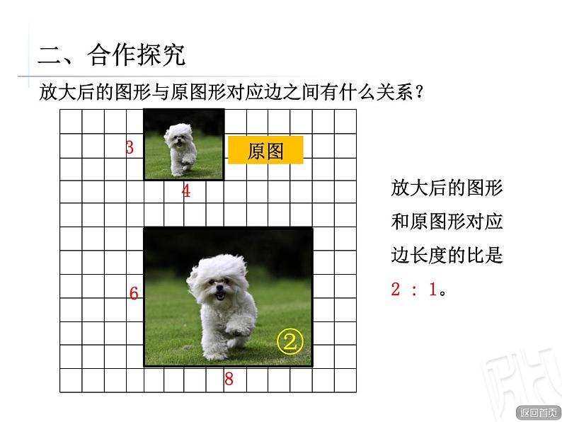 4.图形放大和缩小课件PPT05