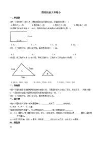 北师大版六年级下册图形的放大与缩小课后作业题