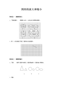 小学数学北师大版六年级下册图形的放大与缩小练习题