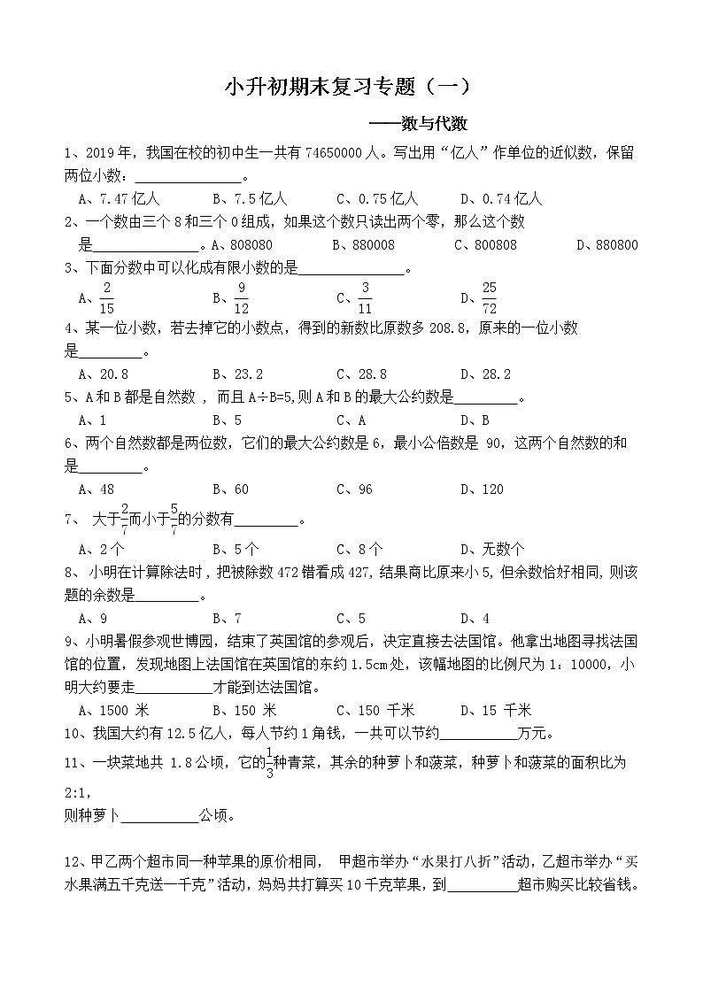 小升初期末复习（一）——数与代数试卷第1页