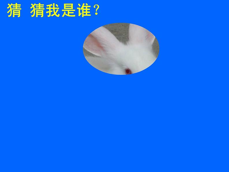 人教版二年级数学上册 5.观察物体（一） 课件(共17张PPT)03