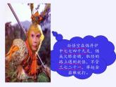 人教版小学数学二年级上册 6.1 7的乘法口诀 课件(共14张PPT)