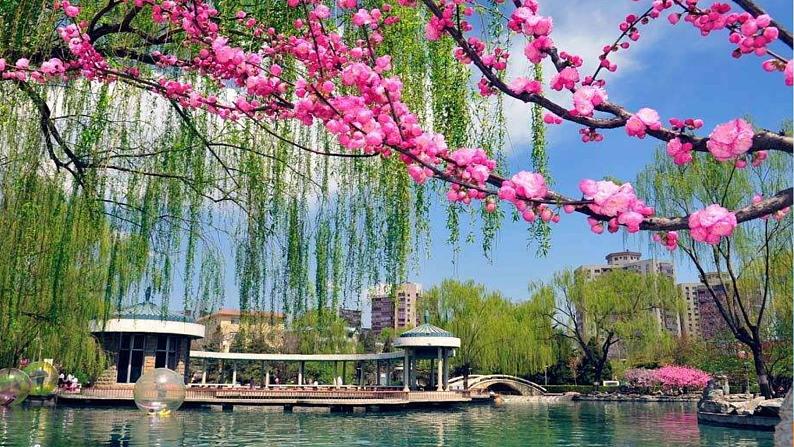 北师大版数学二年级下册 1.5 租船（课件）01