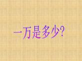 北师大版数学二年级下册 3.2 数一数（二）(1)（课件）