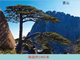 北师大版数学二年级下册 3.3 拨一拨(2)（课件）