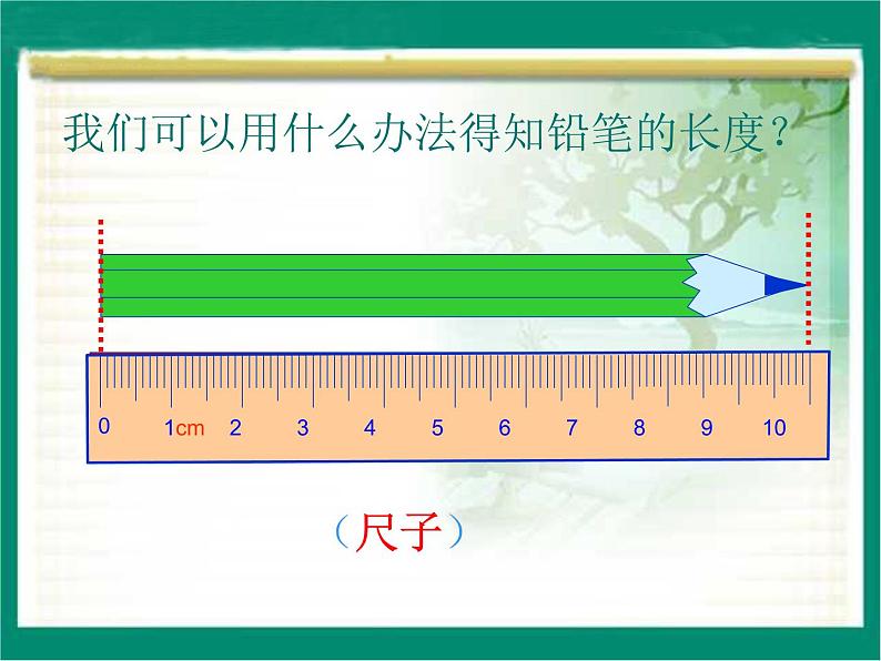 北师大版数学二年级下册 4.1 铅笔有多长(5)（课件）02