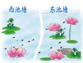 北师大版数学二年级下册 5.5 小蝌蚪的成长（课件）