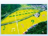 北师大版数学二年级下册 5.6 算得对吗(3)（课件）