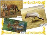 北师大版数学二年级下册 5.3 十年的变化(3)（课件）