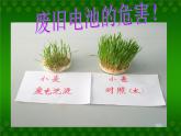 北师大版数学二年级下册 5.2 回收废电池(1)（课件）