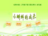 北师大版数学二年级下册 5.5 小蝌蚪的成长(1)（课件）