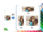 4.3.2 图形的放大与缩小1课件PPT