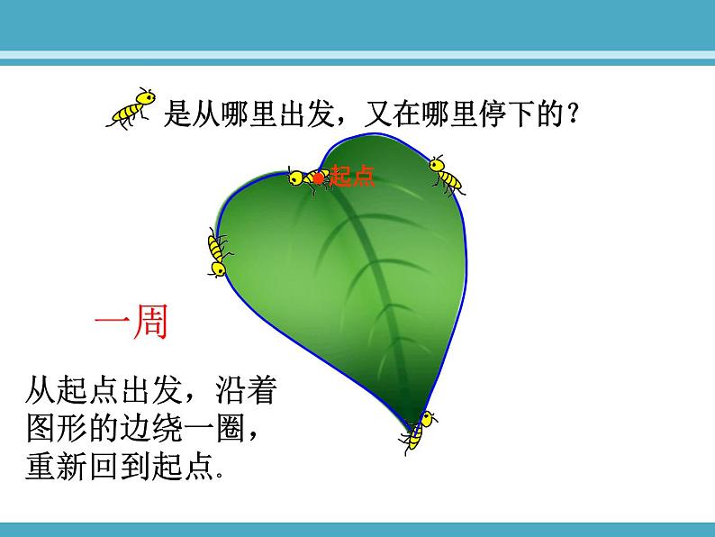 认识周长-(公开课)课件PPT06