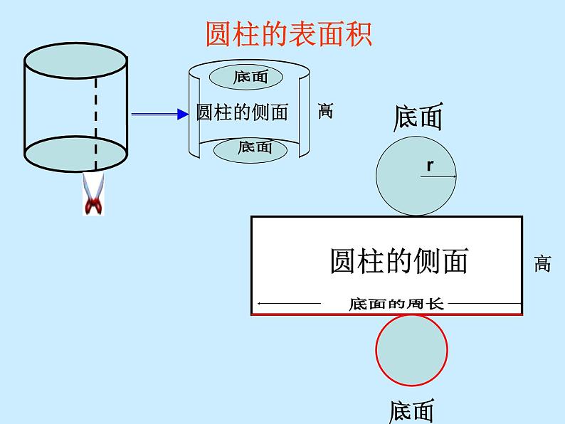 六年级下册数学课件-1.2圆柱的表面积  苏教版  (共26张PPT)第5页