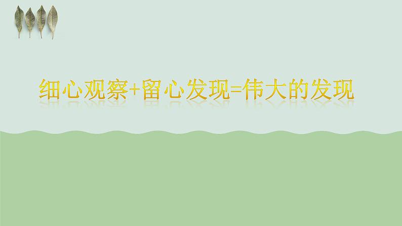 六年级数学下册课件：5 数学广角——鸽巢问题（人教版）（共29张PPT）第3页