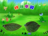 三年级上册数学课件-6.2 长方形和正方形的周长 北京版 (共12张ppt)