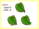 三年级上册数学课件- 八 认识周长_青岛版（共27张PPT）